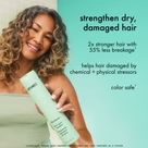 amika Mane Mender Set